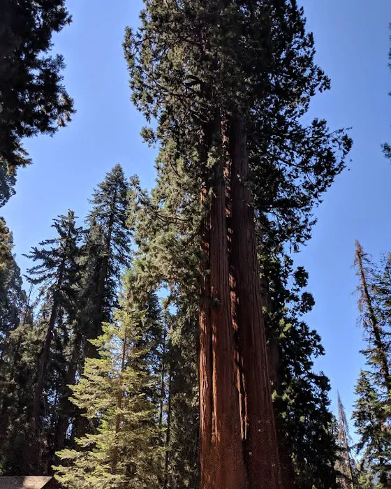 Upper Stony Creek Campground 2