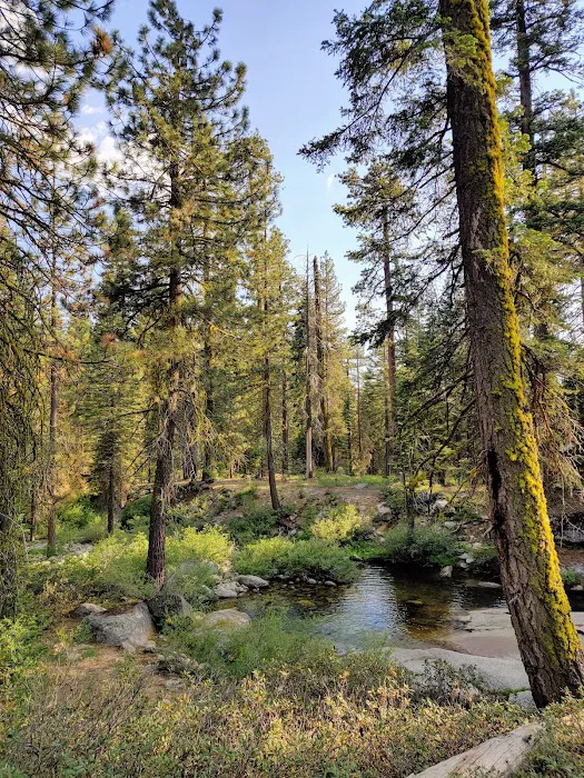 Upper Stony Creek Campground 8