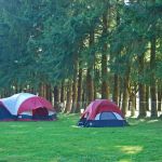 Thousand Trails Thunderbird