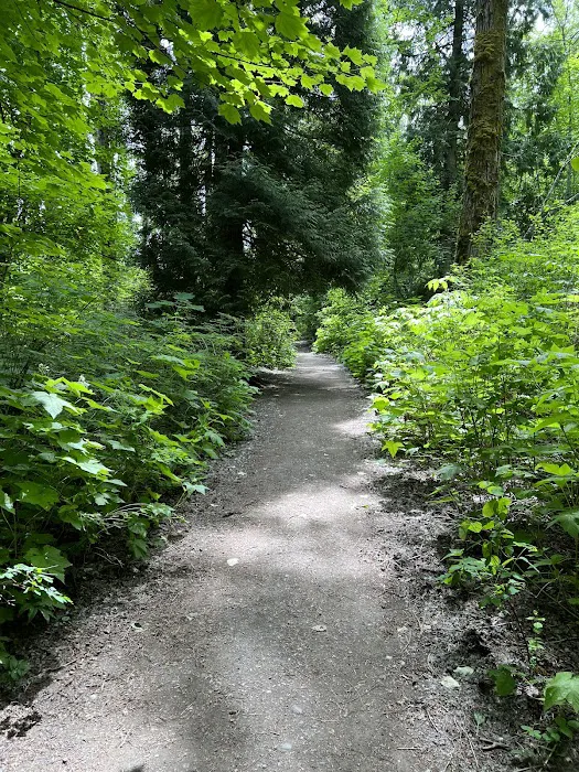 Ferry Island Municipal Campground 9