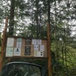 Homesite Creek Campground