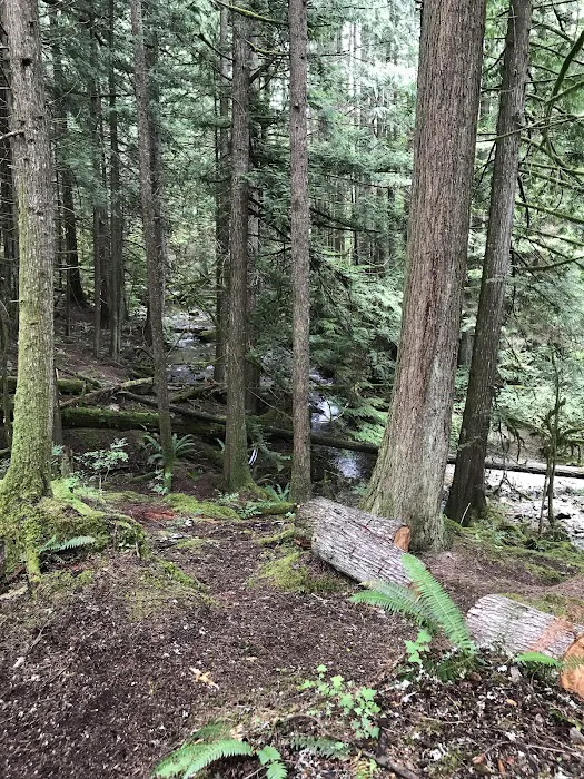 Homesite Creek Campground 4