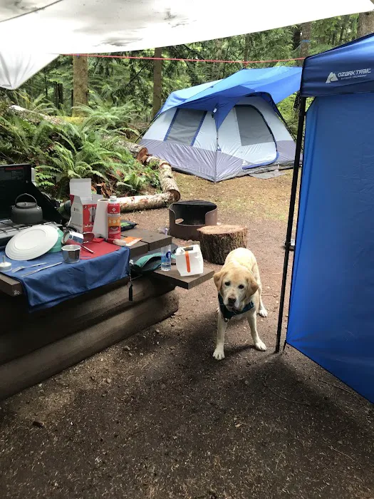 Homesite Creek Campground 3