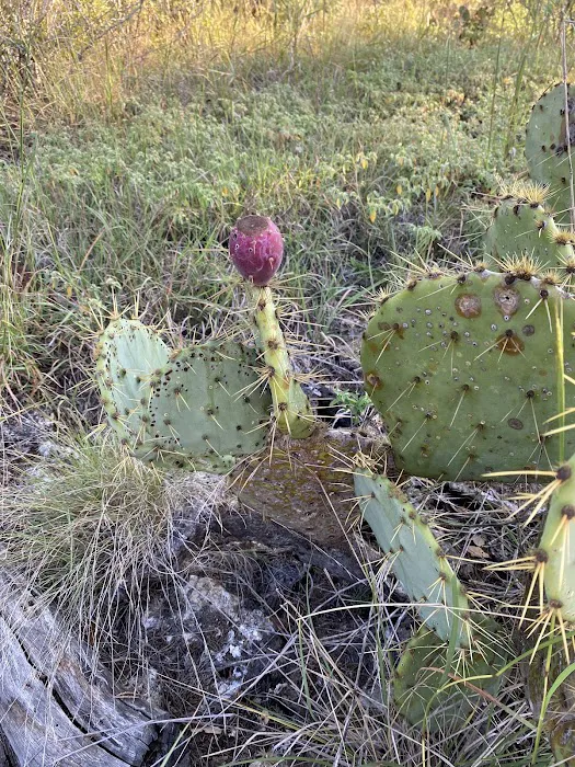 Charro Ranch Park 8