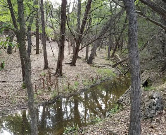 Trinity Hills Park