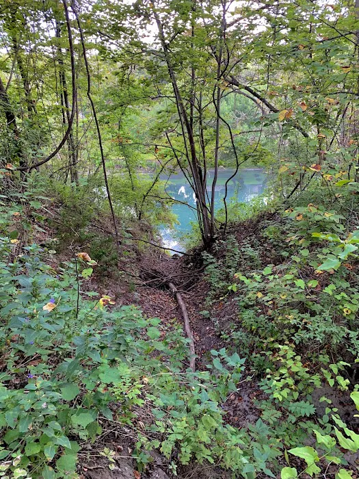 Guadalupe River Access Trail 6