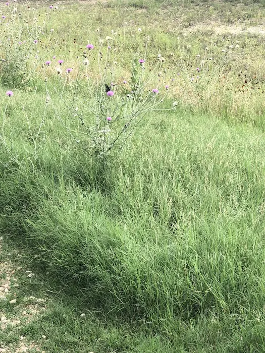 James C. Curry Nature Center 7