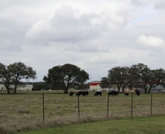 Canyon Park