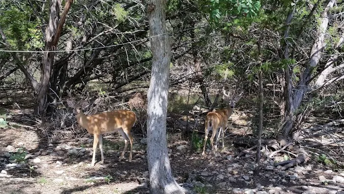 Jacobs Creek Park 2