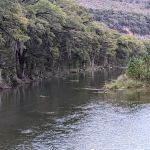 GuadalupeRiverCamping.com