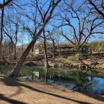 Cypress Creek Nature Preserve