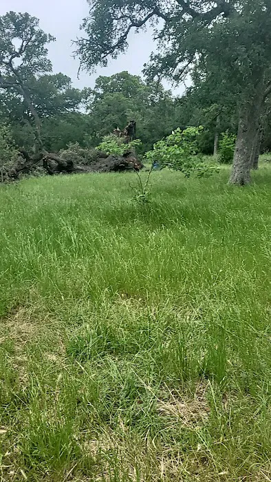 The Knibbe picnic area 4