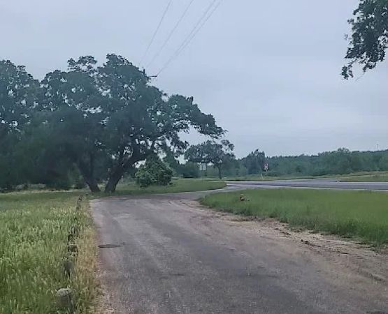 The Knibbe picnic area