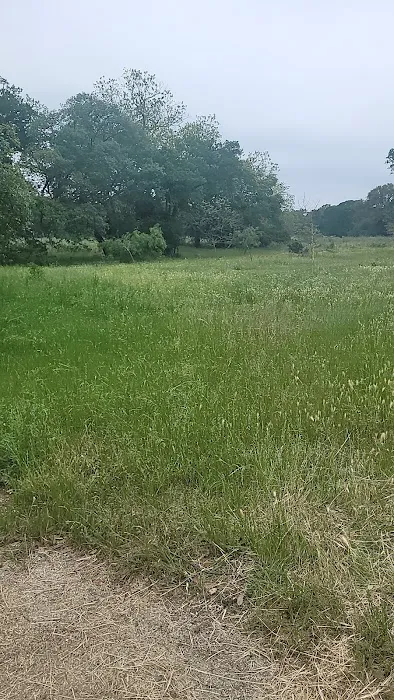 The Knibbe picnic area 1