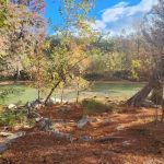 Guadalupe River State Park Entrance