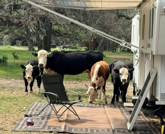 GSL Ranch