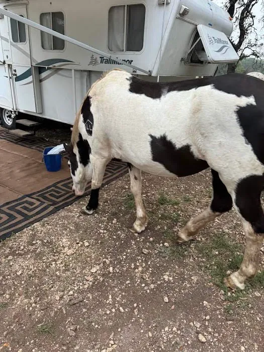 GSL Ranch 1