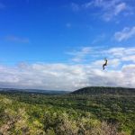 Wimberley Zipline Adventures
