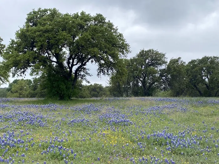 Pedernales River Nature Park 6