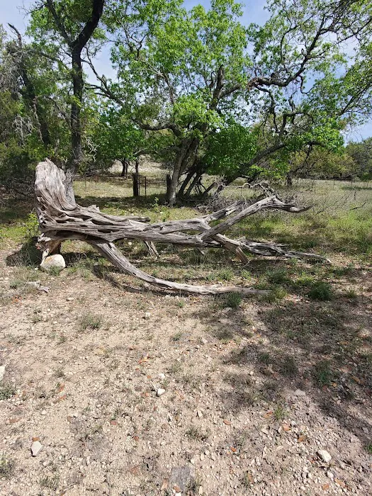Bamberger Ranch Preserve 9