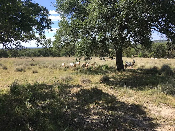 Bamberger Ranch Preserve 0