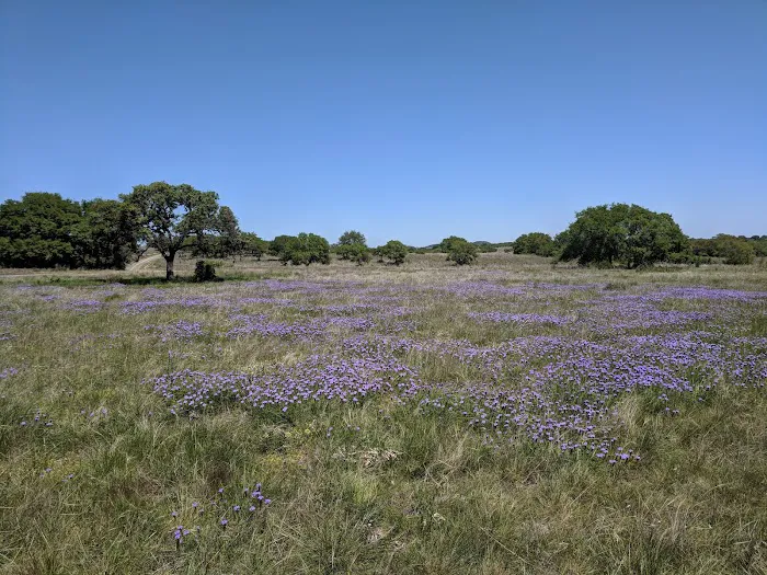 Bamberger Ranch Preserve 1