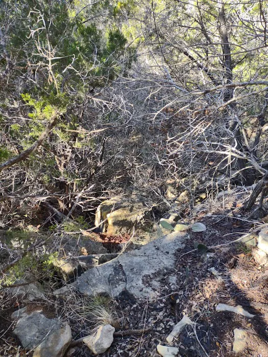 Pedernales Falls Horse Campground 0