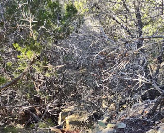Pedernales Falls Horse Campground
