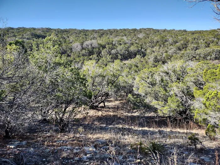 Pedernales Falls Horse Campground 4