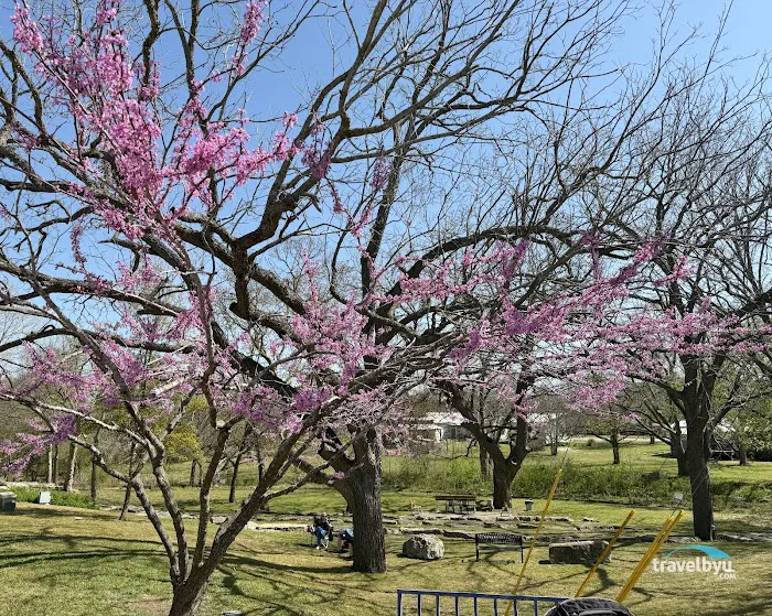 Bindseil City Park 7