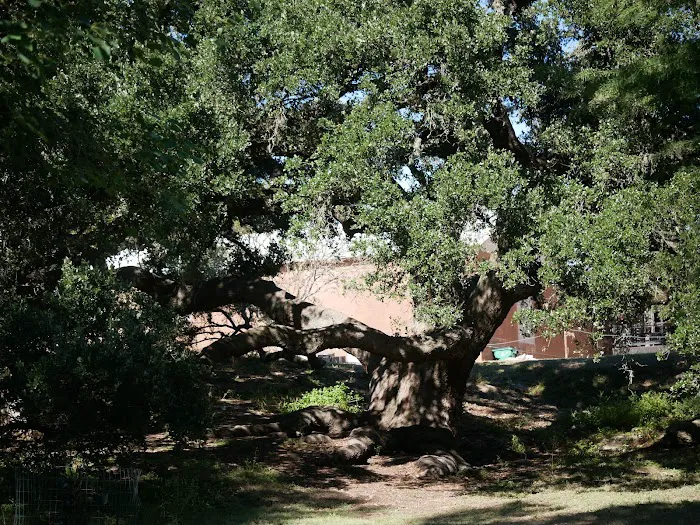 Bindseil City Park 3