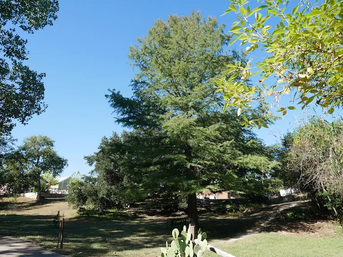 Bindseil City Park 1