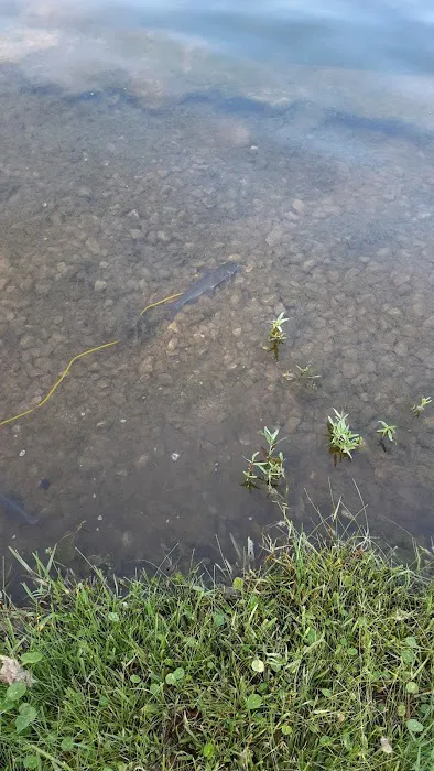 Castlebriar Park 4