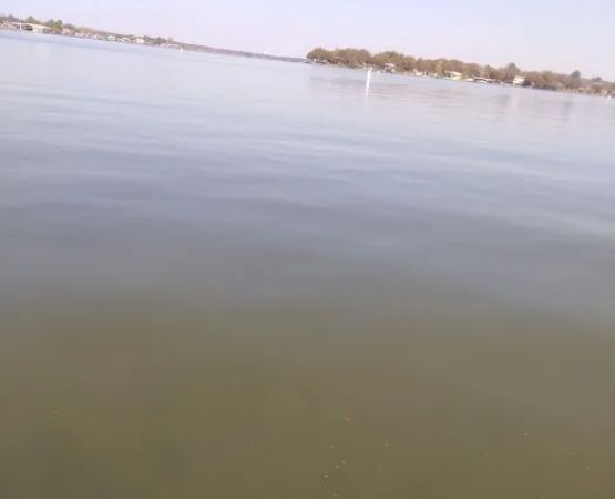 Bluebriar Park