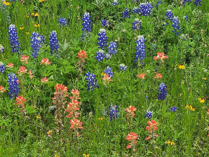 Burnet County Park Picture 8