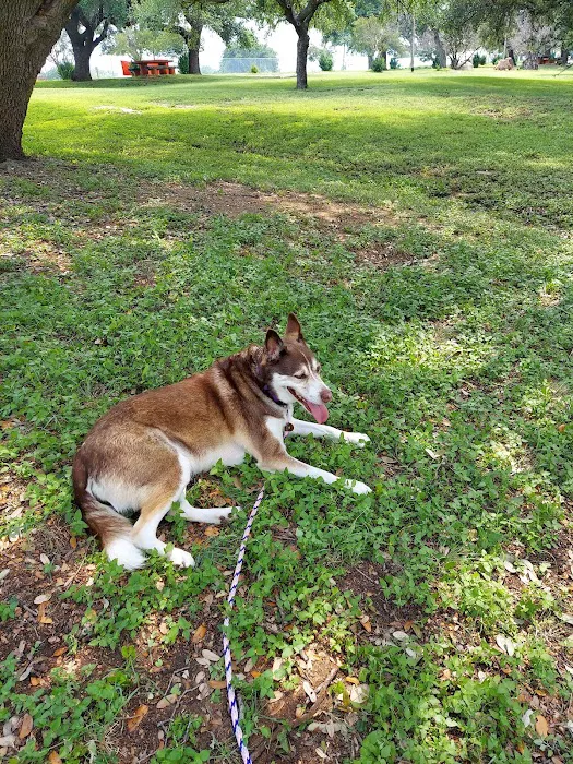 Robinson City Park 6