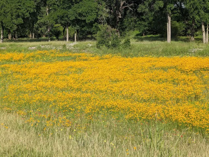 Childers Park 7