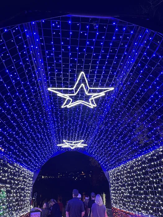 Marble Falls Walkway of Lights Picture 8
