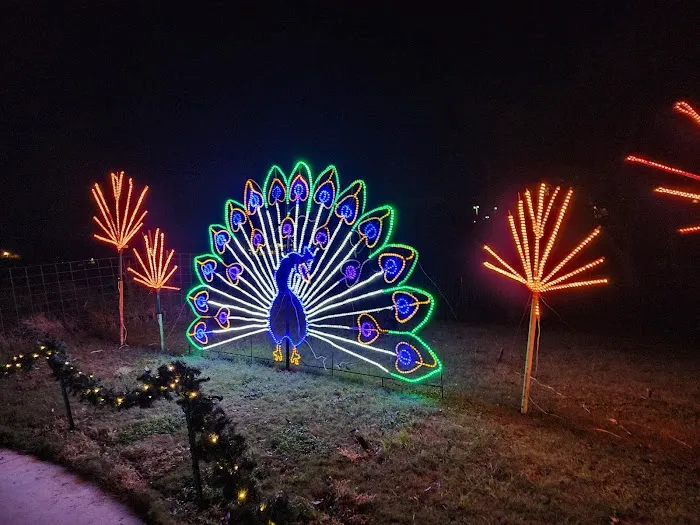 Marble Falls Walkway of Lights Picture 7