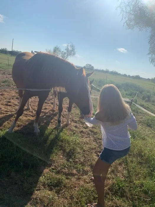 LaRock RV & Horse Camp 3