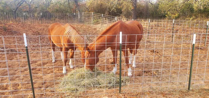 LaRock RV & Horse Camp 4