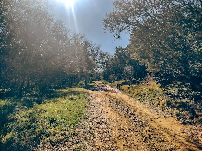 Sulphur Springs Camp 2
