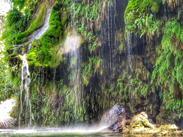 Krause Springs 9
