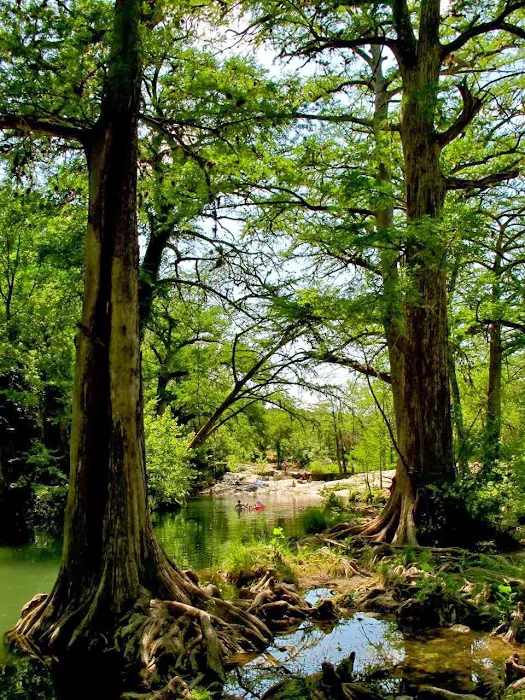 Krause Springs 8