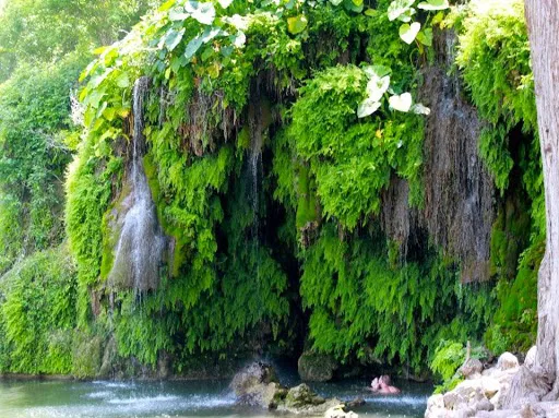 Krause Springs 2