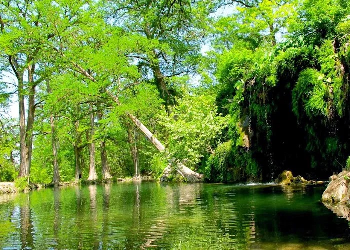 Krause Springs 7