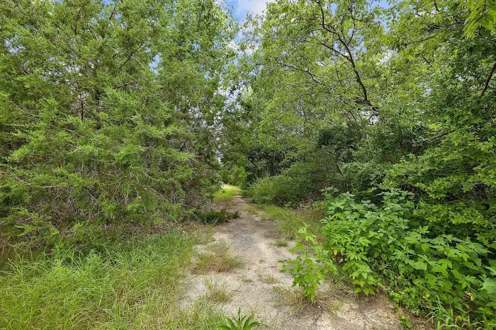 Wilderland Picture 8