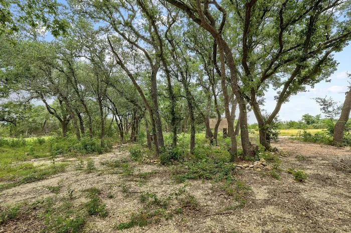 Wilderland Picture 6