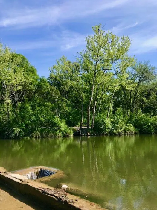 Wilderland Picture 7