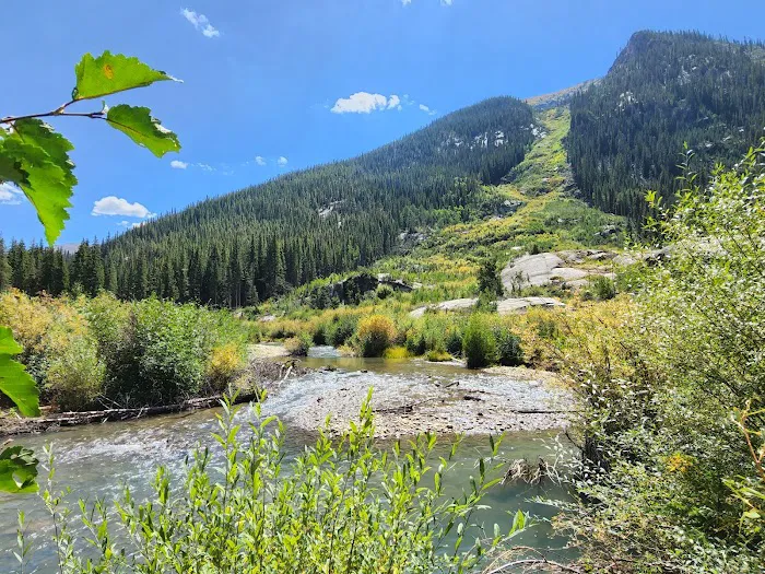 Lincoln Creek Dispersed Campground 0